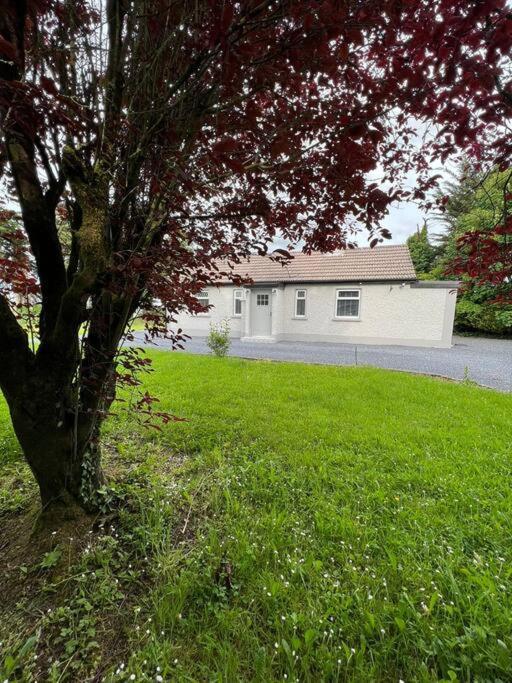 Ballybur Cottage Kilkenny Exterior foto